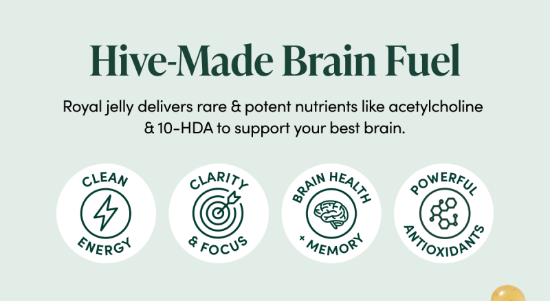 Hive-Made Brain Fuel         Royal jelly delivers rare & potent nutrients like acetylcholine & 10-HDA to support your best brain.   Promotes mental clarity May improve cognition  Supports long-term brain health   Powerful antioxidants  MOD 3