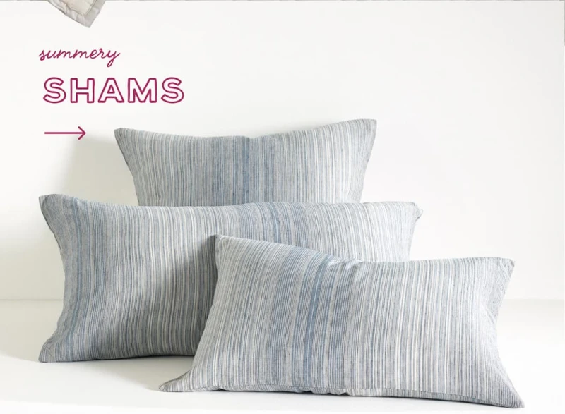 Summery SHAMS