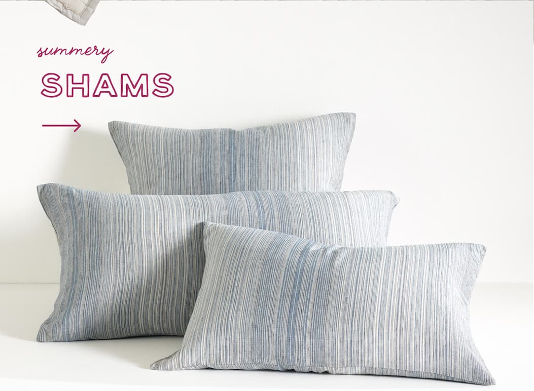Summery SHAMS