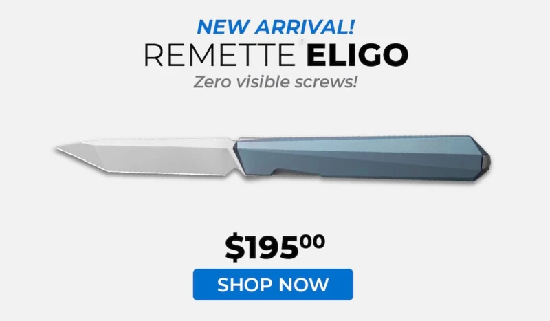 REMETTE ELIGO