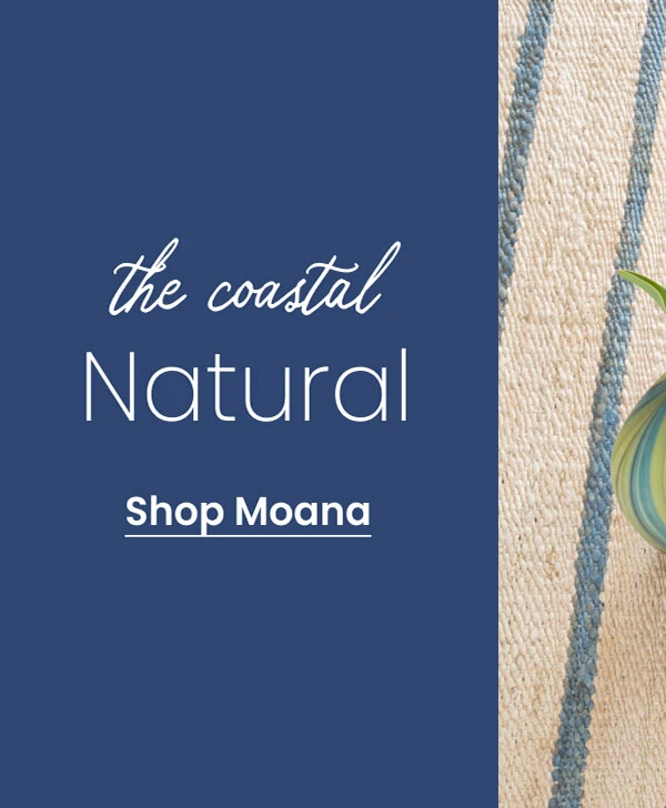 Shop Moana Stripe Handwoven Jute Rug