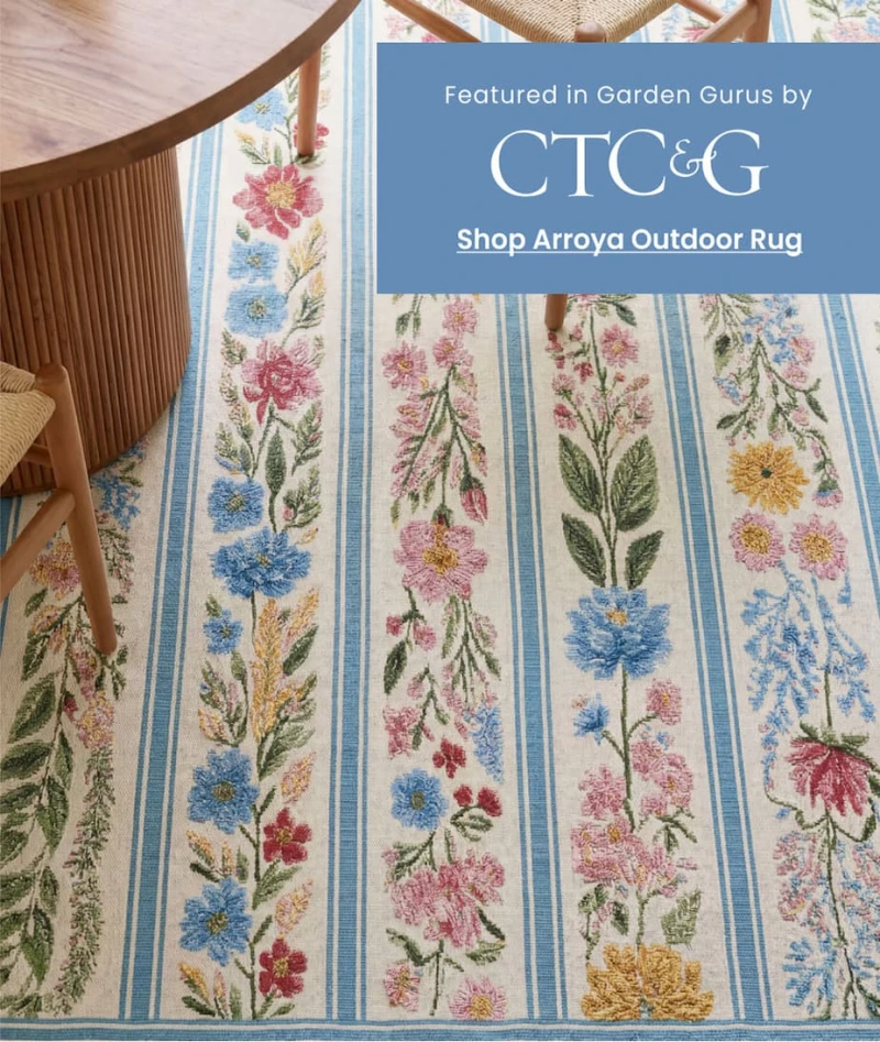 Shop Arroya Outdoor Rug