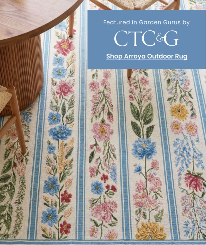 Shop Arroya Outdoor Rug Shop Arroya Outdoor Rug