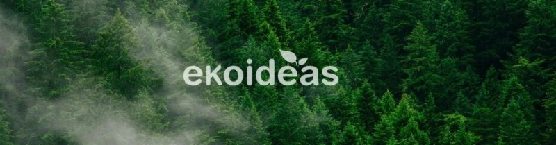 Imagen de Ekoideas