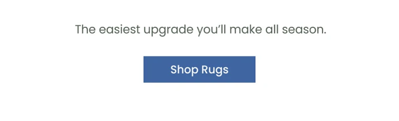 Shop Rugs