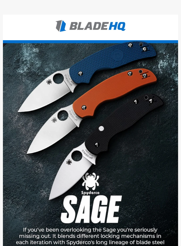 bladehq.com newsletter: One of Spyderco's most overlooked knives!