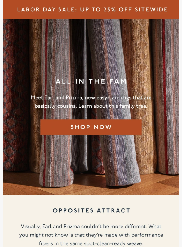 Preview of New rugs. Different patterns. Same washable DNA. by revivalrugs.com