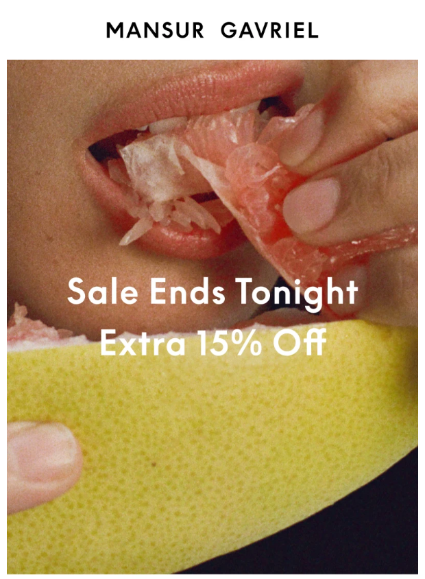 Preview of SALE: Ends Tonight by mansurgavriel.com