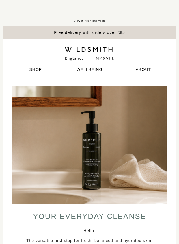 Preview of Your Everyday Cleanser by wildsmithskin.com