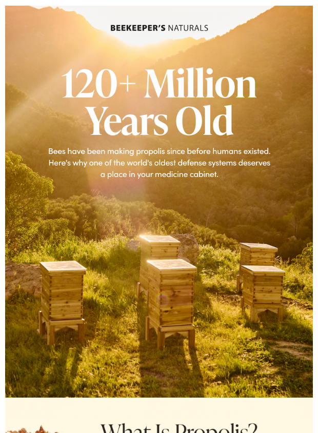 Preview of Immune Support Over 120 Million Years in the Making 🐝 by beekeepersnaturals.com