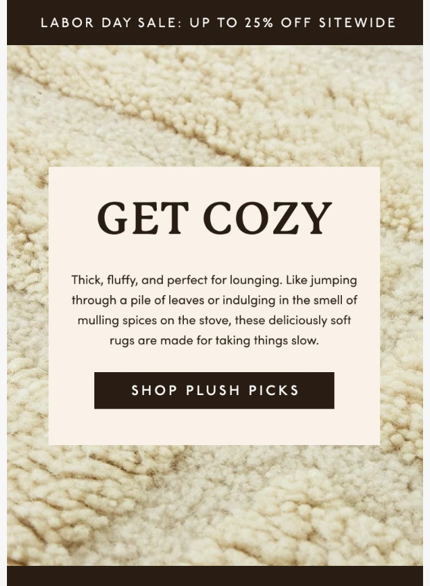 Preview of Cozy for fall by revivalrugs.com