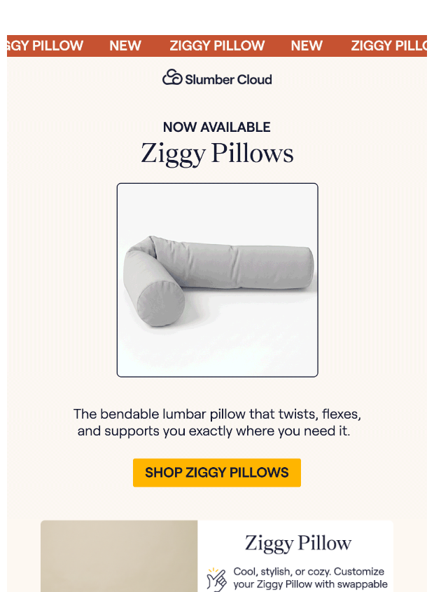 Preview of Meet Your New Favorite Pillow 😍 by slumbercloud.com