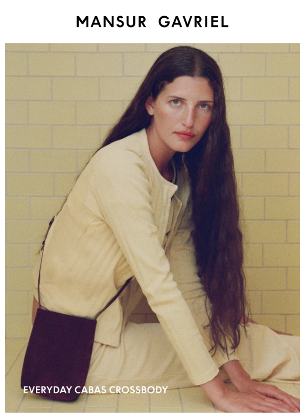 Preview of The Handbags for Fall by mansurgavriel.com