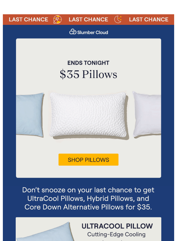 Preview of Ending Tonight: $35 Pillows by slumbercloud.com
