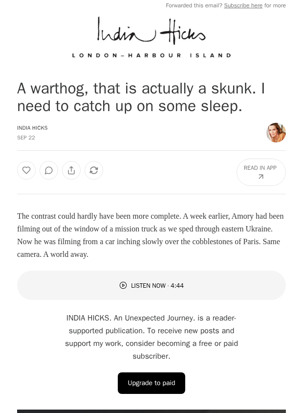 Preview of A warthog, that is actually a skunk. I need to catch up on some sleep. by indiahicks.com