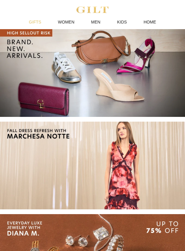 Preview of Brand. New. Arrivals. - High Sellout Risk by gilt.com