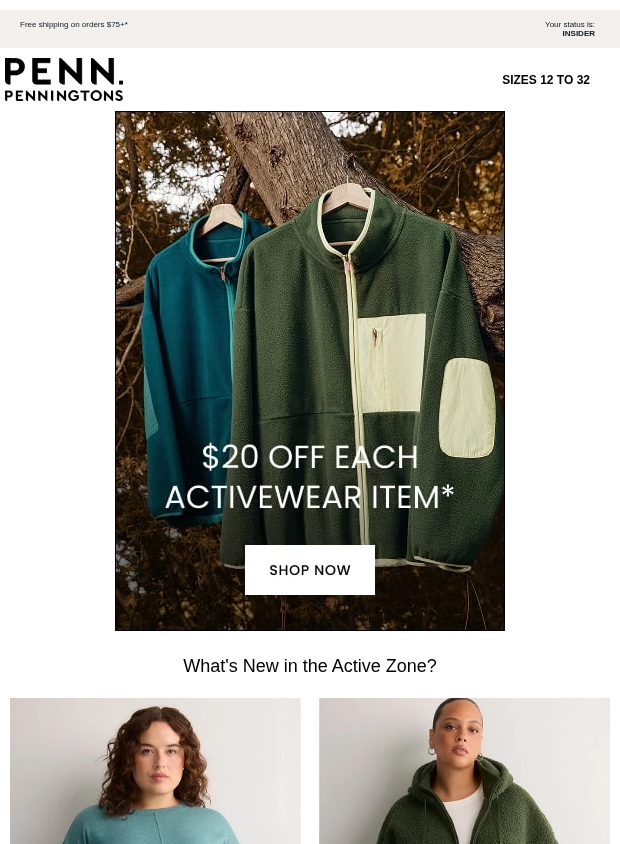 Preview of Hot Deal: $20 OFF Each Active Item! by penningtons.com
