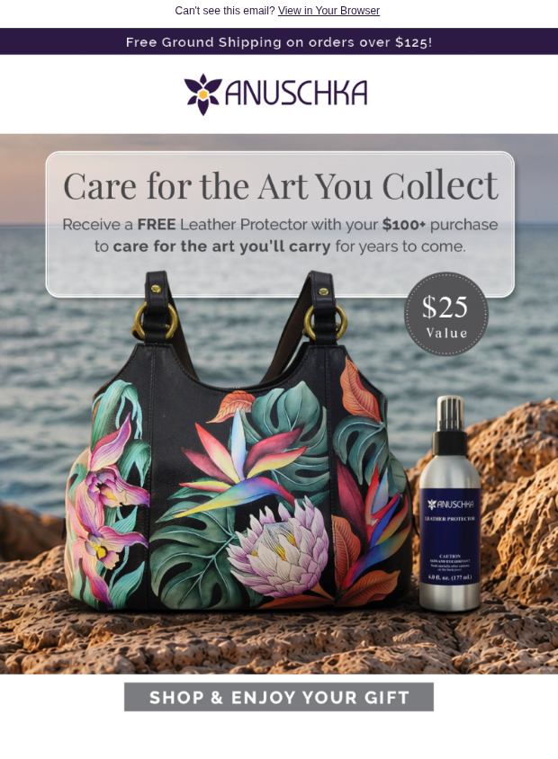 Preview of Spend $100, Get a FREE $25 Leather Protector by anuschkaleather.com