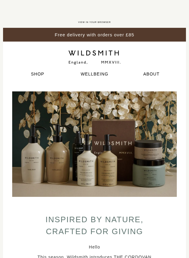 Preview of Christmas Has Arrived by wildsmithskin.com