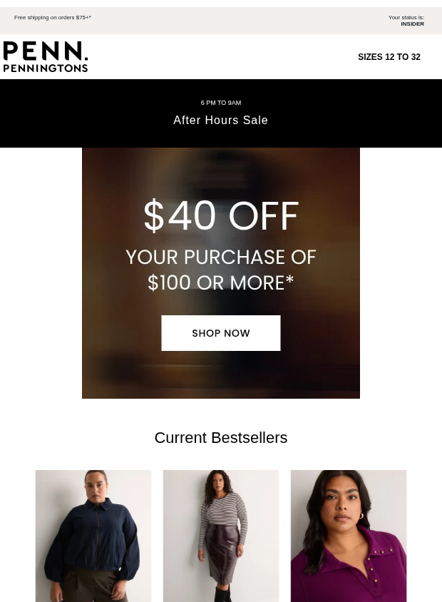 Preview of Get $40 OFF Your $100 Purchase! by penningtons.com